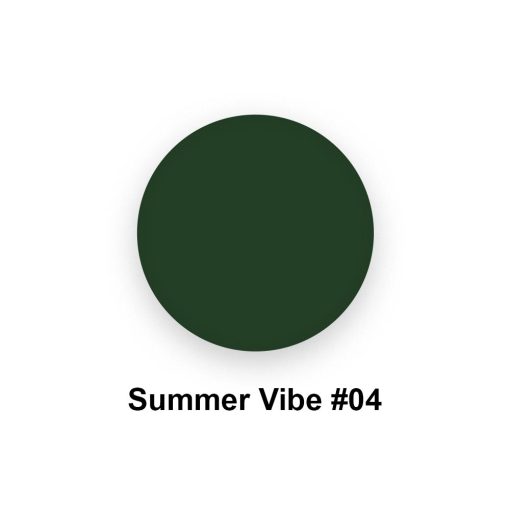 04 Summer Vibe